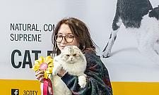 Święto kotomaniaków. Zobacz zdjęcia