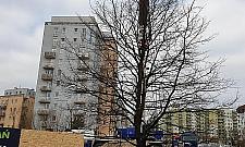 Operacja Dąb na Tarchominie. Przesadzili wielkie drzewo