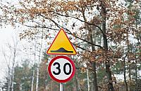 Na Patriotów będą progi. "Wniosek mieszkańców"