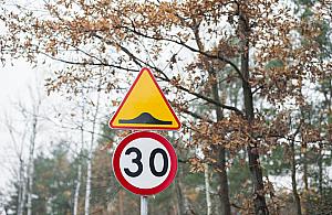 Na Patriotów będą progi. "Wniosek mieszkańców"