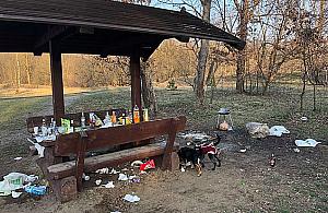 Przyszła wiosna. "Nie mają siły wynieść butelek"