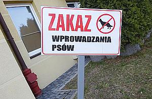 Wojenka z psiarzami. "Rzucają butelkami w ludzi"