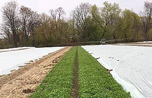 Start sezonu u Majlertów. Znamy datę