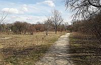 Dokończyć Piastów Śląskich. "Niefortunna inwestycja"