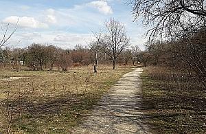 Dokończyć Piastów Śląskich. "Niefortunna inwestycja"