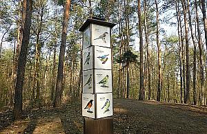 Pomysł na weekend: rodzinny spacer ptasią ścieżką