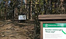 Pomysł na weekend: rodzinny spacer ptasią ścieżką