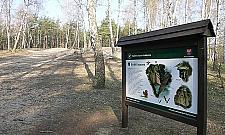 Pomysł na weekend: rodzinny spacer ptasią ścieżką