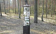 Pomysł na weekend: rodzinny spacer ptasią ścieżką