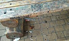 Tak się bawi Warszawa. "Meliny w środku parku"