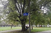 Nowe �ycie dla skweru przy Pedecie