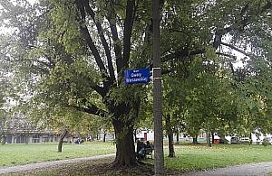 Nowe życie dla skweru przy Pedecie