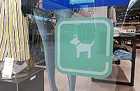 Z psem do galerii handlowej? "Zapraszamy, ale..."