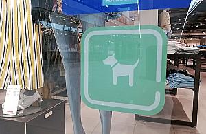 Z psem do galerii handlowej? "Zapraszamy, ale..."