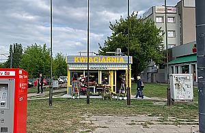 Wyrzucamy kioski, sadzimy zieleń. "Nie tędy droga"