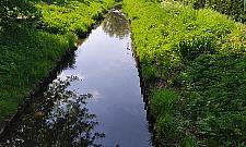 Grodzą Kanał Bródnowski. "Nic nie możemy zrobić"