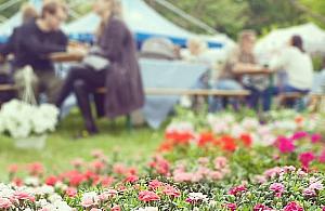 Targ Śniadaniowy na Białołęce. "Tym razem na 100%"