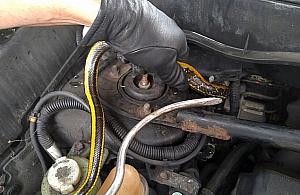 Azjatycki wąż na Bielanach. "Wpełzł do samochodu"