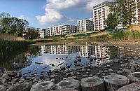 Wysychają Glinianki Jelonek. "Chcą postawić kolejne bloki?"