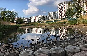 Wysychają Glinianki Jelonek. "Chcą postawić kolejne bloki?"