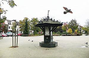 Przegonić gołębie z Rynku w Legionowie