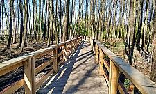 Zalew przy Bardowskiego i okolice już tętnią życiem