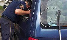 Samochód jak piekarnik. "Psu nie było gorąco"