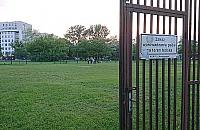 Boiska i place zabaw wolne od psów? "Wszystko im wolno"