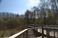 Łosiowe Błota. Idealne na wycieczkę za miasto