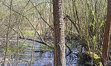 Łosiowe Błota. Idealne na wycieczkę za miasto