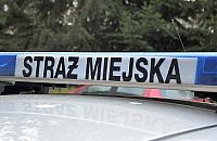 Wtargnął na tory, chciał popełnić samobójstwo