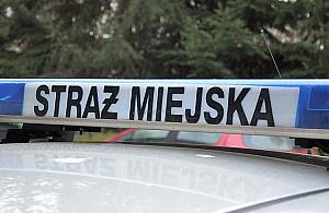 Wtargnął na tory, chciał popełnić samobójstwo