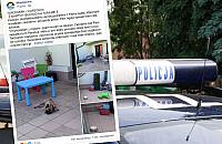 Martwy buldog na tarasie. Internet a� huczy
