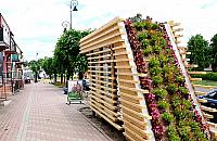 Zielona Białołęka przed ratuszem. Jest pomysł