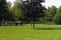 "To będzie pierwszy park w Wawrze". Warto?