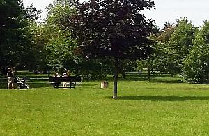 "To będzie pierwszy park w Wawrze". Warto?