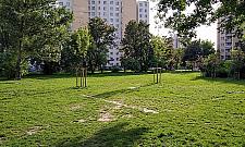 Letni basen w parku Wiecha? Wizytówka dzielnicy