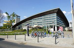 Bezpłatne rodzinne pływanie. Pomysł dla Poloneza