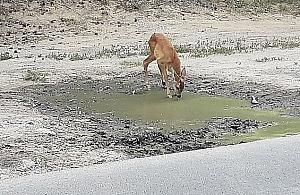Upał nie odpuszcza. "Czy możemy jakoś pomóc?"