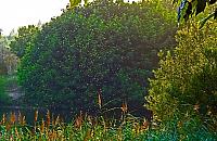 Komary nie odpuszczają. Spece od oprysków rozchwytywani