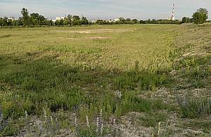 Teren nad Wisłą pod zabudowę. "15 tysięcy mieszkańców"