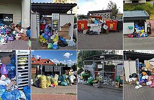 Kryzys śmieciowy opanowany? "Nałożymy kary"