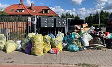 Kryzys śmieciowy opanowany? "Nałożymy kary"