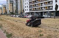 Trawy brak, kosiarki w ruchu. "To jakaś epidemia"