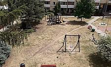 Trawy brak, kosiarki w ruchu. "To jakaś epidemia"