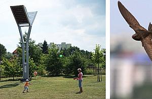 Wawer potrzebuje jerzyków. Jak je sprowadzić?