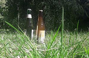 Legalne piwo pod chmurką? "I tak wszyscy piją"