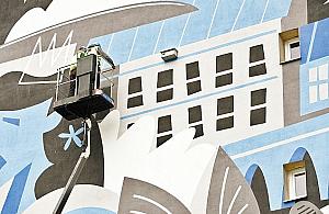 Warszawa stawia na jerzyki. "I tak montuję moskitiery"