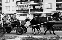 25 lat Białołęki. Aż trudno uwierzyć