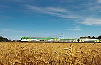 Wielka klapa Słonecznego. Warszawiacy zostali nad morzem